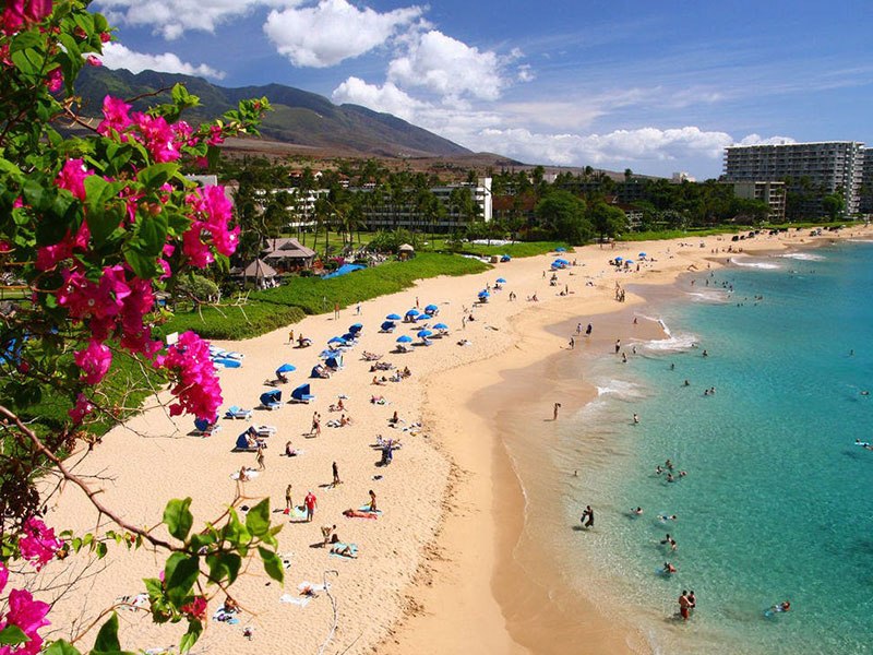 bai-bien-hawaii-xinh-dep