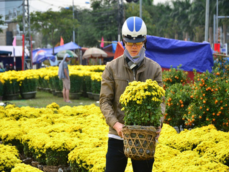 cho-hoa-da-nang