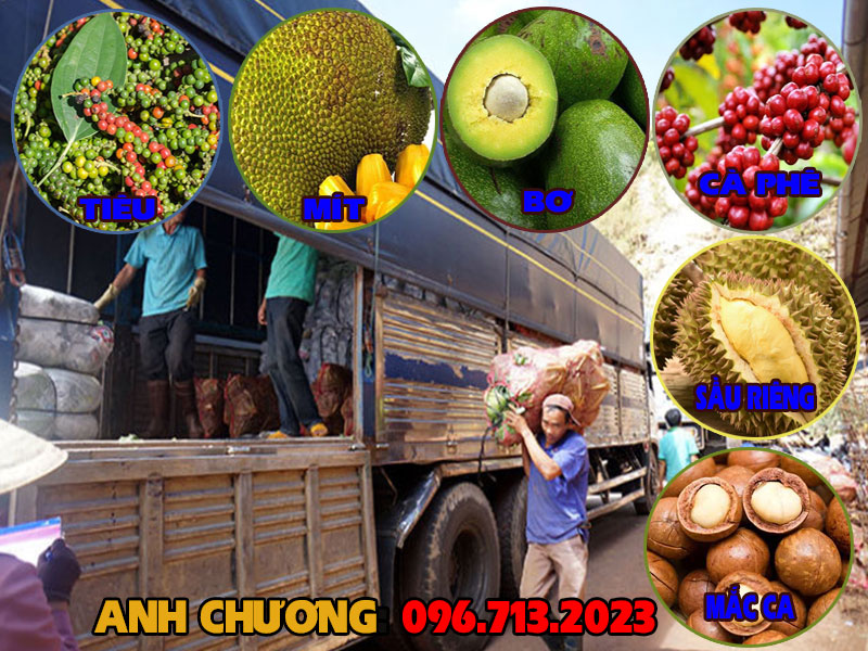 chuyen-bo-si-nong-san-tay-nguyen