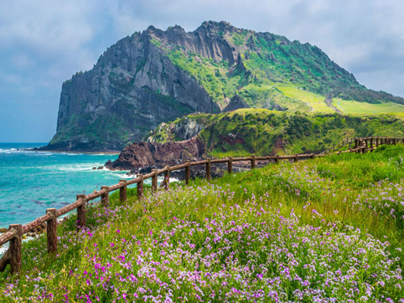 dao-jeju