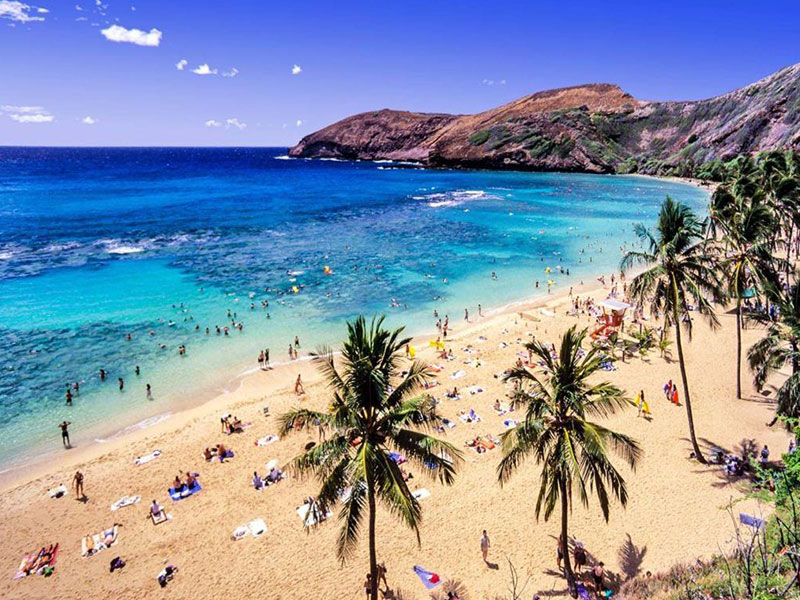 diem-du-lich-Hawaii-vo-cung-ly-tuong