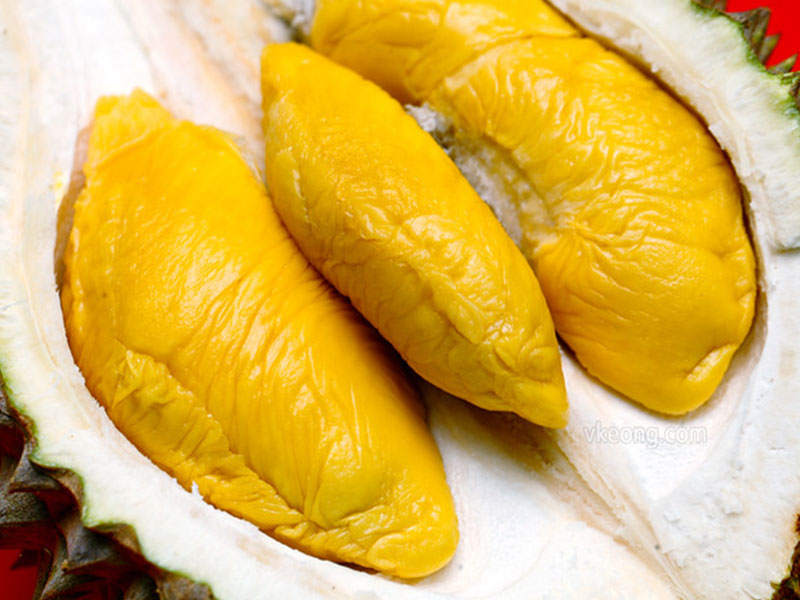 gia-thanh-cua-sau-rieng-musang-king-rat-cao