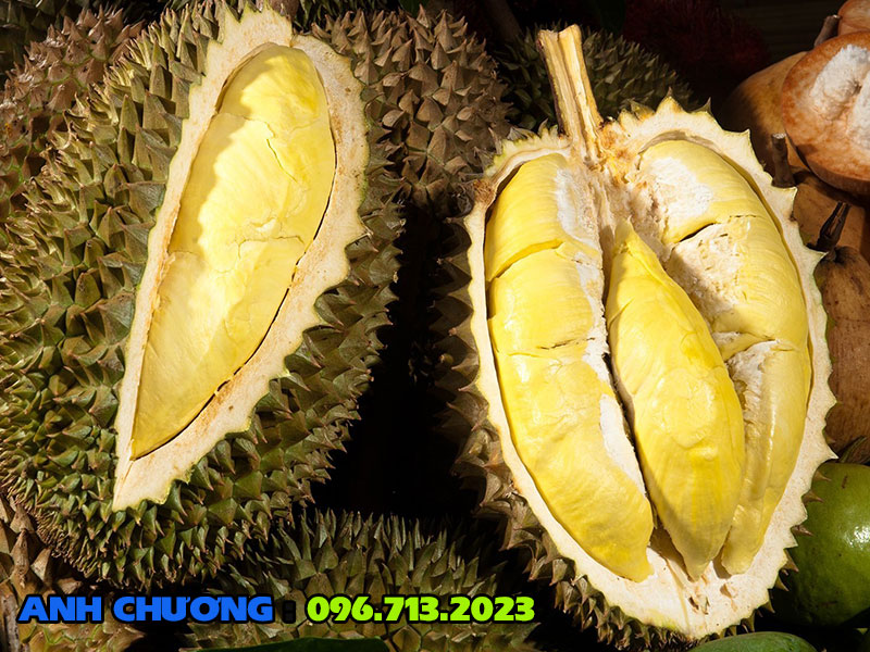 sau-rieng-Monthon