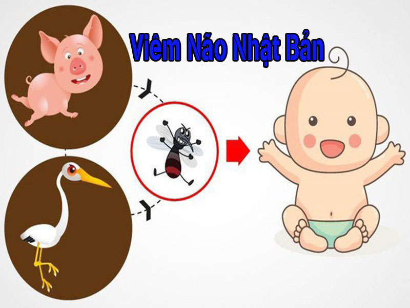 tre-thuong-bi-viem-nao-nhat-ban